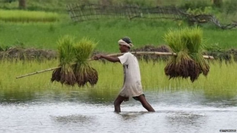 किसान किसान