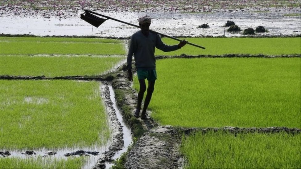 किसान किसान