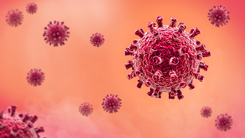 Coronavirus bacteria Coronavirus bacteria