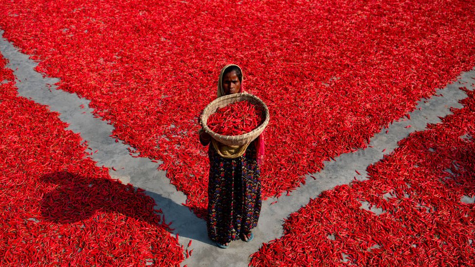 महिला, अवैतनिक श्रम महिला, अवैतनिक श्रम