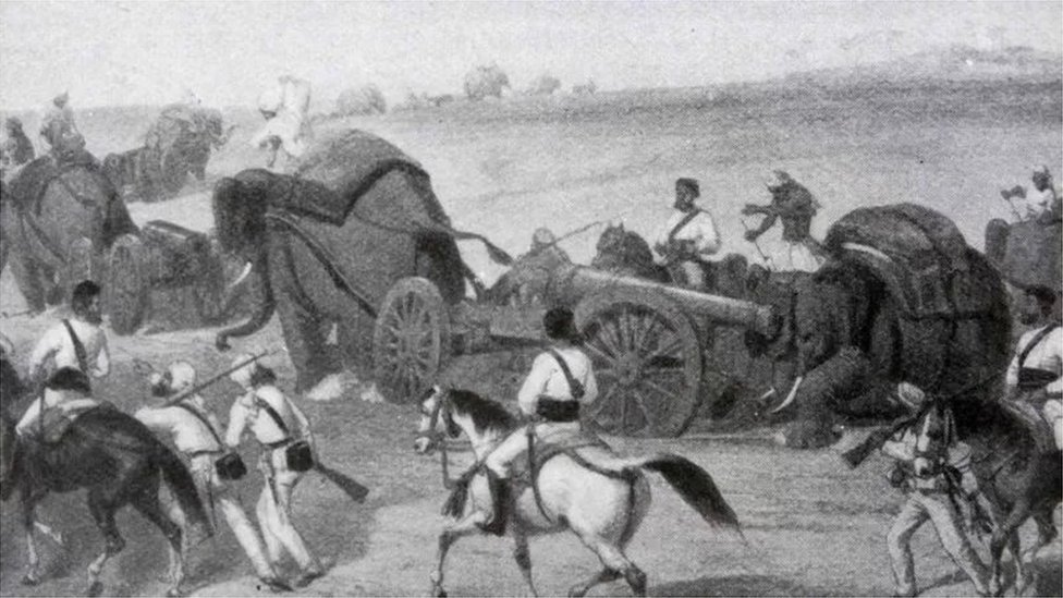 तोप को खींचते हाथी तोप को खींचते हाथी