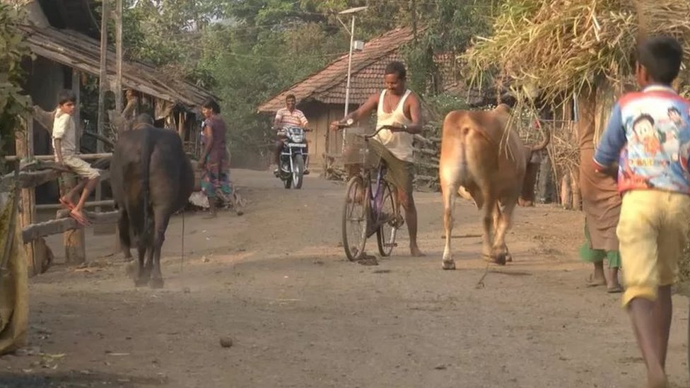 गरीबी गरीबी