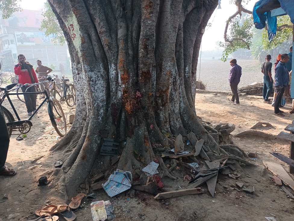बिहार, वैशाली बिहार, वैशाली