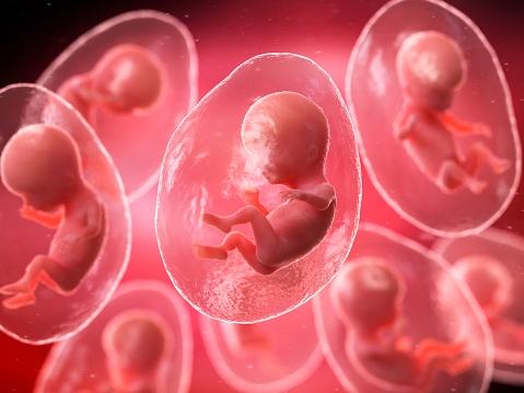 स्पर्म सैंपल में हुई गड़बड़ी से टूटा एक...